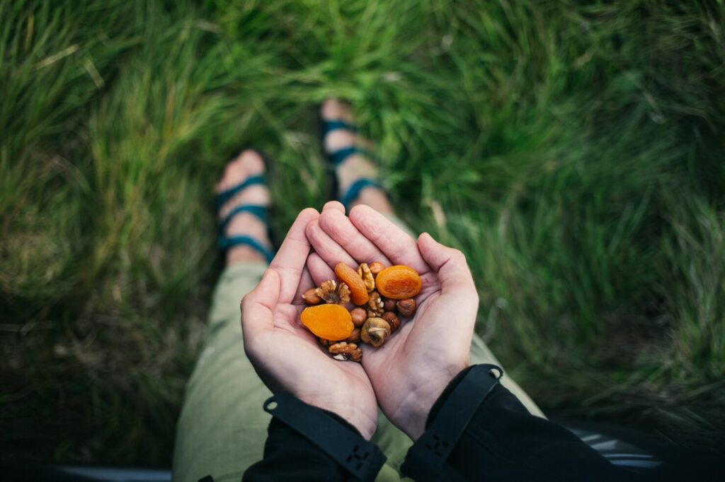 handful-healthy-nuts-raisins-dried-fruit-outdoors-wilderness-quick-snack